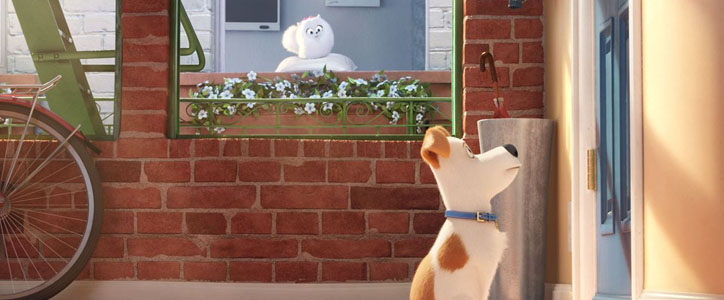 Comme des bêtes image 1