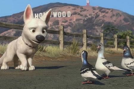 Volt, star malgré lui image 1