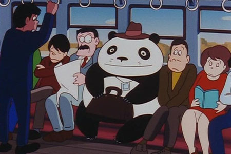 Panda Petit Panda image 2