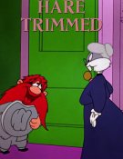 La Guerre des Galands