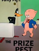 Un canard envahissant