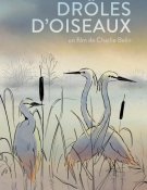 Drôles d’oiseaux