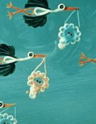 Drôles de cigognes!