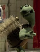 La tortue qui voulait dormir