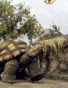 Le Lièvre et la Tortue