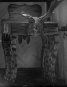 Tales from Vienna Woods: Stille Nacht III