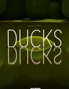 Ducks