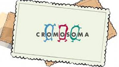 Cromosoma TV produccions