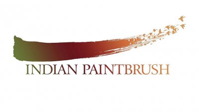 Indian Paintbrush