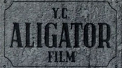 YC Aligator Film