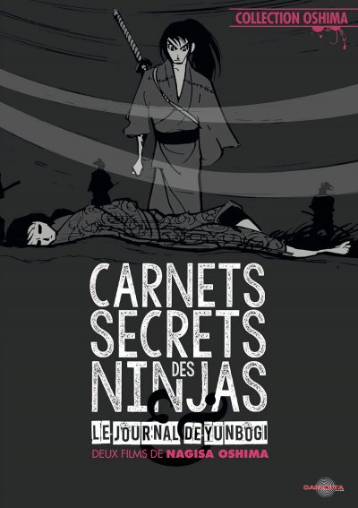 Carnet secret des ninjas