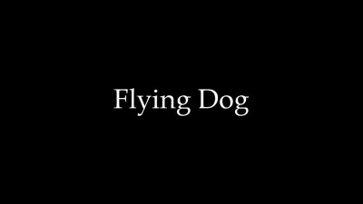 Flying Dog