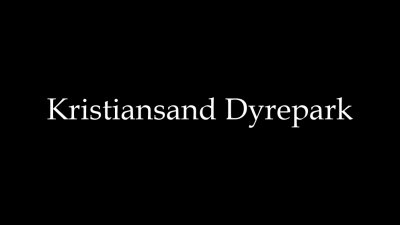 Kristiansand Dyrepark
