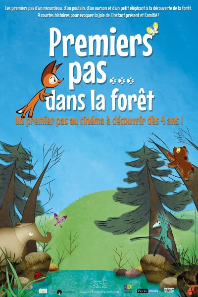 Premiers pas… dans la forêt