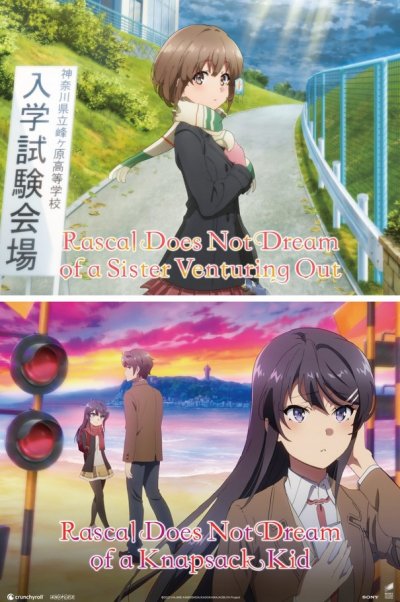 Rascal Does Not Dream