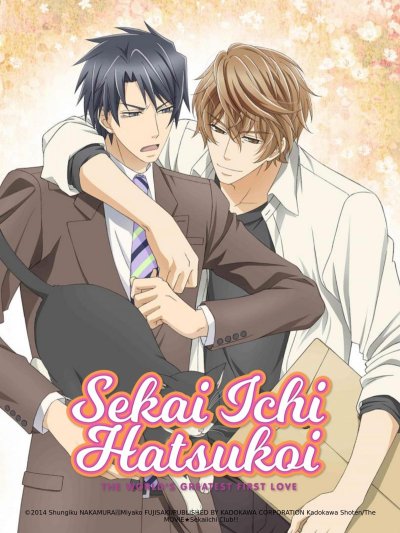 Sekai-ichi Hatsukoi - Film - Le Cas de Yokozawa + La Saint-Valentin