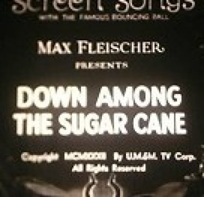 Dans les champs de Canne à Sucre