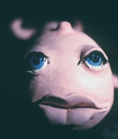 L'Eléphant et la baleine