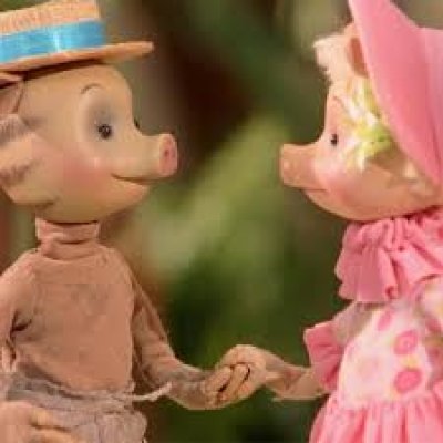 Le bonheur des cochons