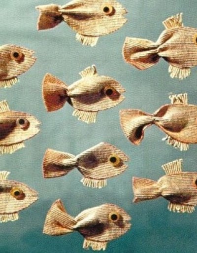 Le poisson Arc-en-ciel