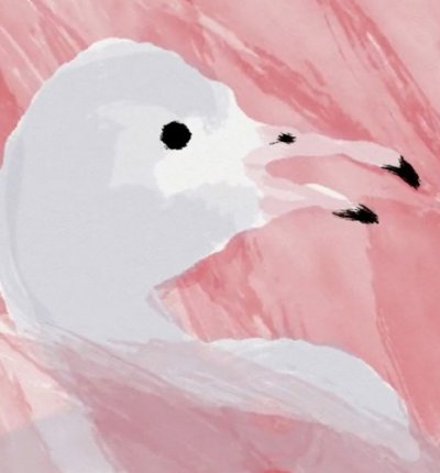 Au dodo ! Les Flamants roses