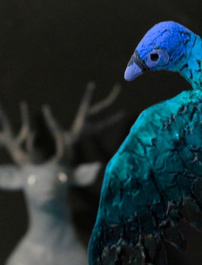 Les oiseaux du souci