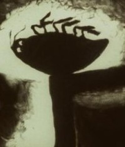 La Métamorphose de M. Samsa