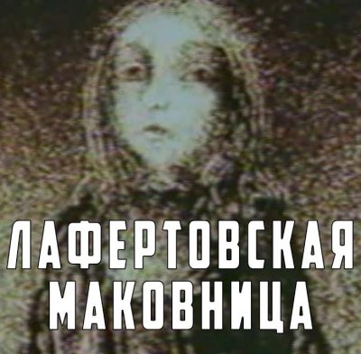 La galette aux grains de pavot de Lafert