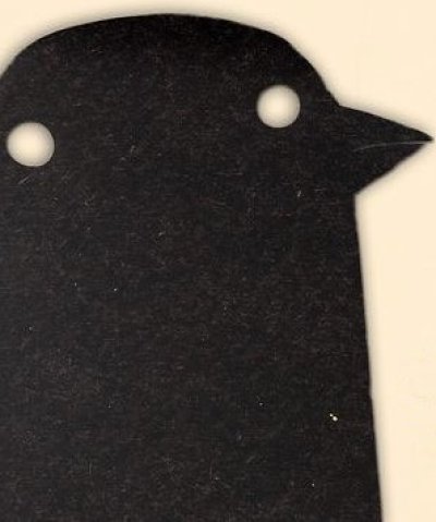 The Making of Longbird