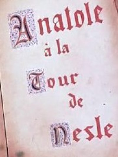 Anatole à la tour de Nesle