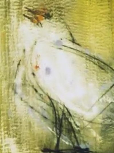 Trois portraits d'un oiseau qui n'existe pas