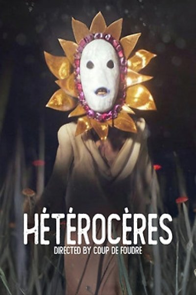 Hétérocères