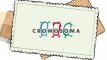 Cromosoma TV produccions