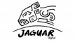 Jaguar Digital