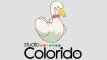 Studio Colorido