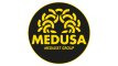 Medusa Film