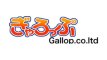 Studio Gallop