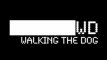 Walking The Dog