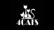 4 Cats Pictures