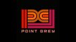 Point Grey Pictures