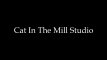 Cat In The Mill Studio