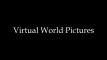 Virtual World Pictures