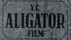 YC Aligator Film