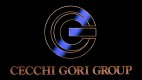 Cecchi Gori Group Fin.Ma.Vi.